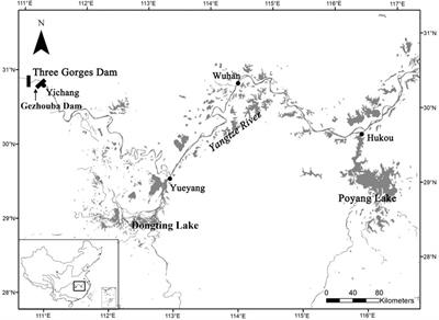 Decrease in Fishery Yields in Response to Hydrological Alterations in the Largest Floodplain Lake (Poyang Lake) in China